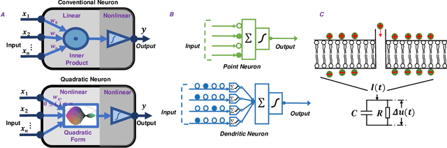 Figure 4 for Towards NeuroAI: Introducing Neuronal Diversity into Artificial Neural Networks