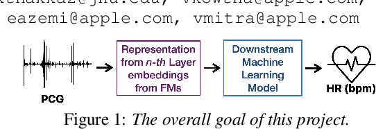 Figure 1 for Foundation Model Hidden Representations for Heart Rate Estimation from Auscultation