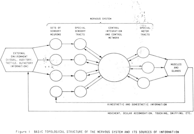 Figure 3 for Maelstrom Networks