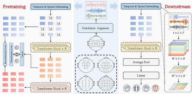 Figure 4 for MIRepNet: A Pipeline and Foundation Model for EEG-Based Motor Imagery Classification