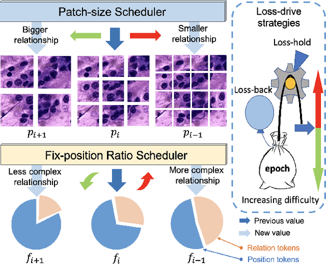 Figure 4 for CellMix: A General Instance Relationship based Method for Data Augmentation Towards Pathology Image Analysis
