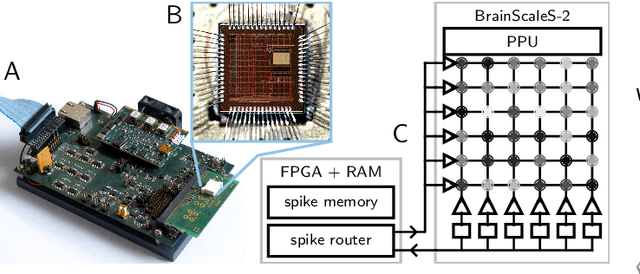 Figure 1 for Emulating insect brains for neuromorphic navigation