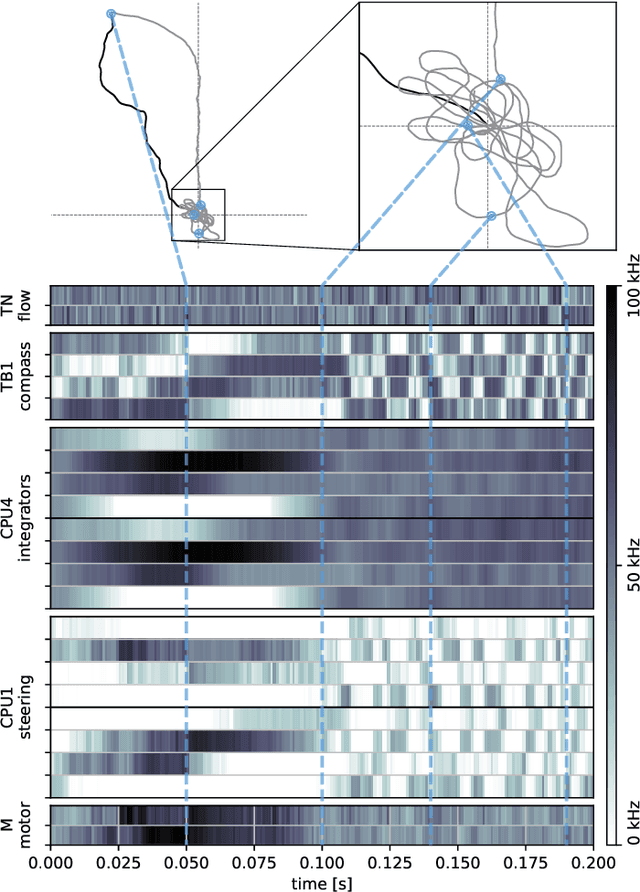 Figure 4 for Emulating insect brains for neuromorphic navigation