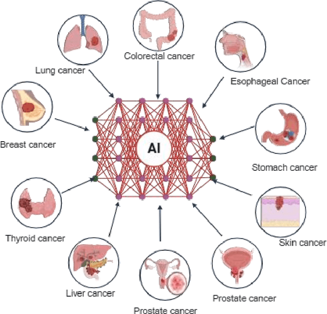 Figure 1 for AI in Oncology: Transforming Cancer Detection through Machine Learning and Deep Learning Applications