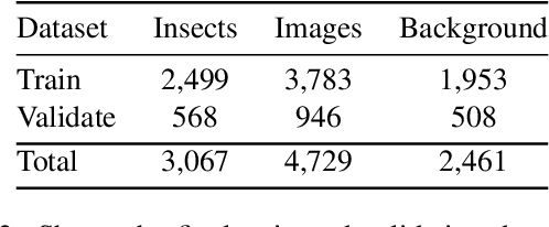Figure 4 for Motion Informed Object Detection of Small Insects in Time-lapse Camera Recordings