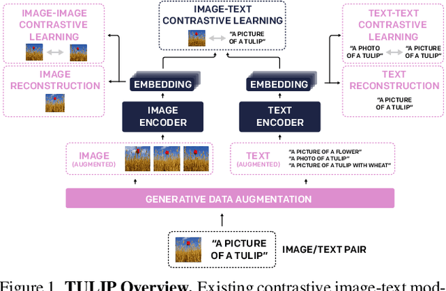 Figure 1 for TULIP: Towards Unified Language-Image Pretraining
