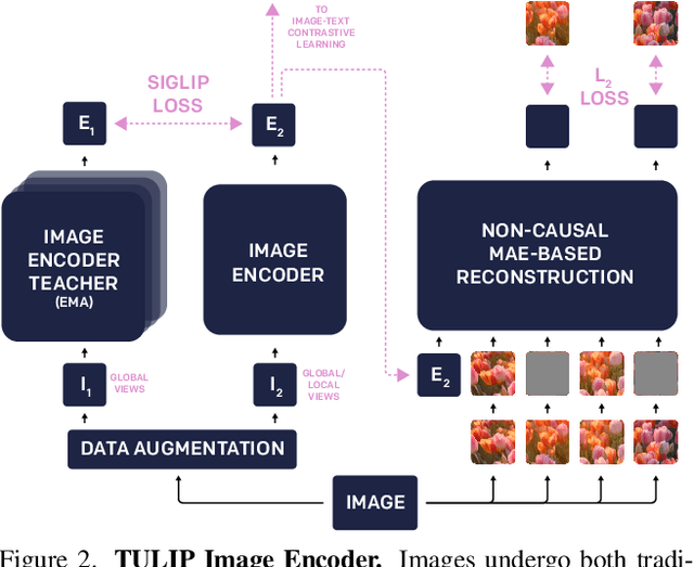 Figure 3 for TULIP: Towards Unified Language-Image Pretraining