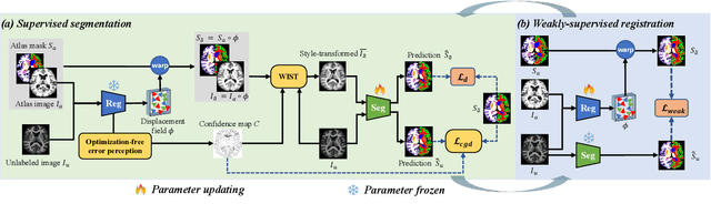 Figure 4 for StyleSeg V2: Towards Robust One-shot Segmentation of Brain Tissue via Optimization-free Registration Error Perception