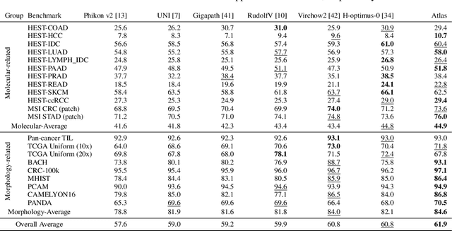 Figure 2 for Atlas: A Novel Pathology Foundation Model by Mayo Clinic, Charité, and Aignostics