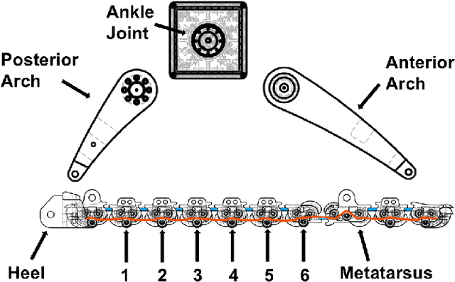 Figure 3 for Soft Adaptive Feet for Legged Robots: An Open-Source Model for Locomotion Simulation