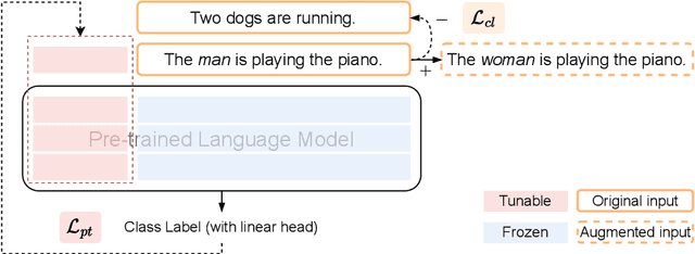 Figure 1 for Co$^2$PT: Mitigating Bias in Pre-trained Language Models through Counterfactual Contrastive Prompt Tuning