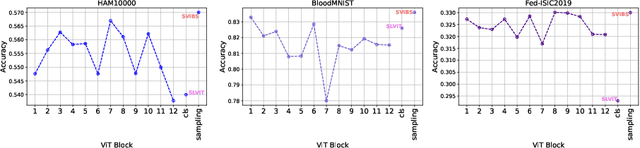Figure 4 for FeSViBS: Federated Split Learning of Vision Transformer with Block Sampling