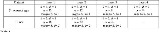 Figure 2 for Flyweight FLIM Networks for Salient Object Detection in Biomedical Images