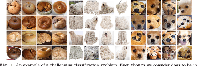 Figure 1 for The Art of Misclassification: Too Many Classes, Not Enough Points