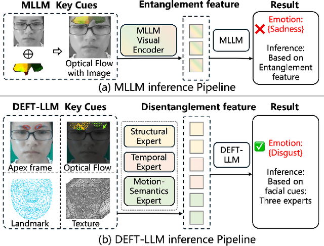 Figure 1 for DEFT-LLM: Disentangled Expert Feature Tuning for Micro-Expression Recognition