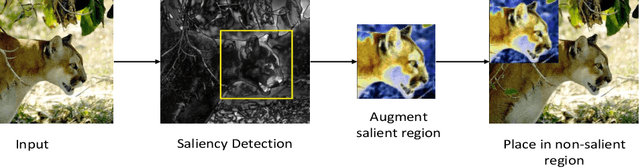 Figure 1 for KeepOriginalAugment: Single Image-based Better Information-Preserving Data Augmentation Approach