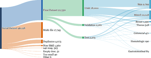 Figure 1 for Democratizing Pathology Co-Pilots: An Open Pipeline and Dataset for Whole-Slide Vision-Language Modelling