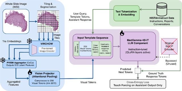 Figure 3 for Democratizing Pathology Co-Pilots: An Open Pipeline and Dataset for Whole-Slide Vision-Language Modelling