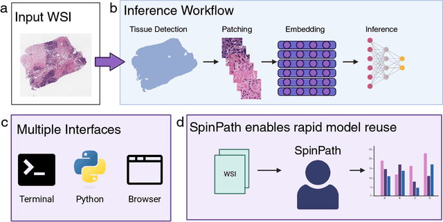Figure 1 for Reusable specimen-level inference in computational pathology