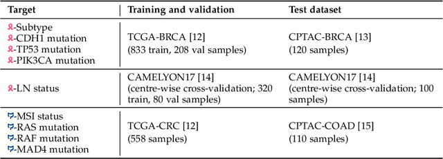 Figure 4 for A Good Feature Extractor Is All You Need for Weakly Supervised Learning in Histopathology