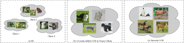 Figure 1 for FedSDWC: Federated Synergistic Dual-Representation Weak Causal Learning for OOD