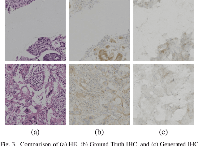 Figure 3 for Conditional Consistency Guided Image Translation and Enhancement