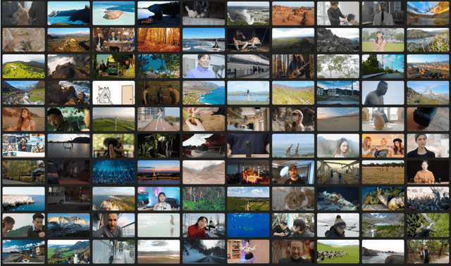 Figure 1 for Tiger200K: Manually Curated High Visual Quality Video Dataset from UGC Platform