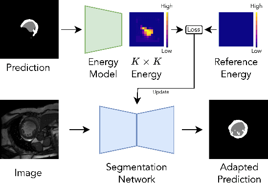 Figure 1 for Progressive Test Time Energy Adaptation for Medical Image Segmentation