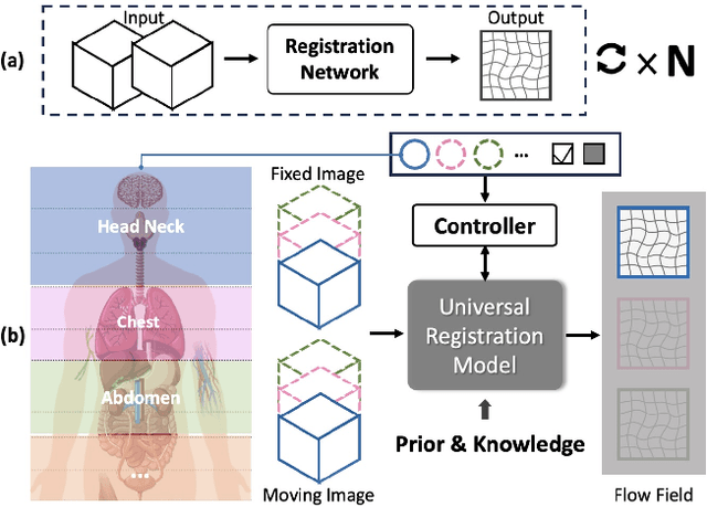 Figure 1 for UniReg: Foundation Model for Controllable Medical Image Registration