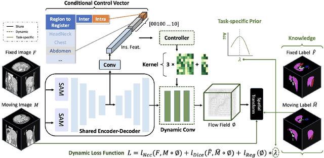 Figure 3 for UniReg: Foundation Model for Controllable Medical Image Registration