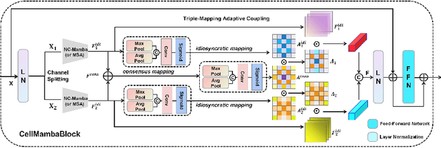 Figure 3 for CellMamba: Adaptive Mamba for Accurate and Efficient Cell Detection