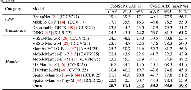 Figure 2 for CellMamba: Adaptive Mamba for Accurate and Efficient Cell Detection