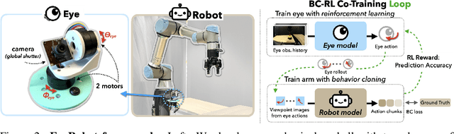 Figure 2 for Eye, Robot: Learning to Look to Act with a BC-RL Perception-Action Loop
