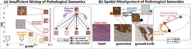 Figure 1 for Pathological Semantics-Preserving Learning for H&E-to-IHC Virtual Staining