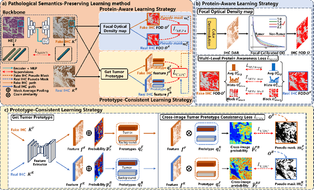 Figure 3 for Pathological Semantics-Preserving Learning for H&E-to-IHC Virtual Staining