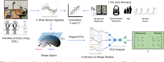Figure 1 for A Shape-Based Functional Index for Objective Assessment of Pediatric Motor Function