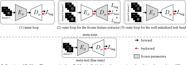Figure 3 for Dual Meta-Learning with Longitudinally Generalized Regularization for One-Shot Brain Tissue Segmentation Across the Human Lifespan