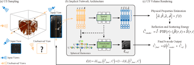 Figure 1 for UlRe-NeRF: 3D Ultrasound Imaging through Neural Rendering with Ultrasound Reflection Direction Parameterization