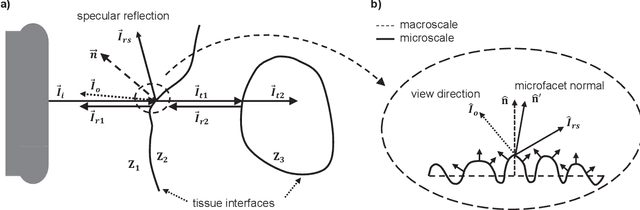 Figure 3 for UlRe-NeRF: 3D Ultrasound Imaging through Neural Rendering with Ultrasound Reflection Direction Parameterization
