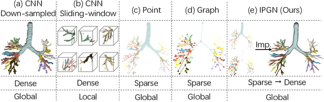 Figure 3 for Efficient Anatomical Labeling of Pulmonary Tree Structures via Implicit Point-Graph Networks