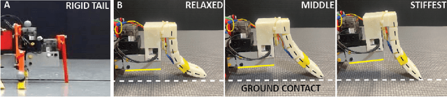 Figure 3 for The Effect of Tail Stiffness on a Sprawling Quadruped Locomotion