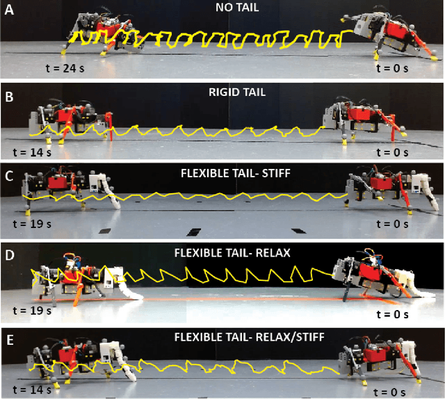 Figure 4 for The Effect of Tail Stiffness on a Sprawling Quadruped Locomotion