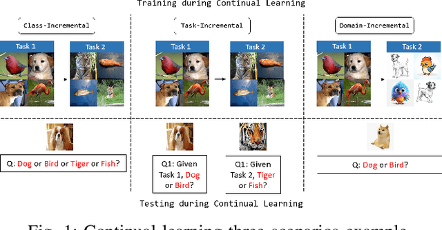 Figure 1 for MGSER-SAM: Memory-Guided Soft Experience Replay with Sharpness-Aware Optimization for Enhanced Continual Learning