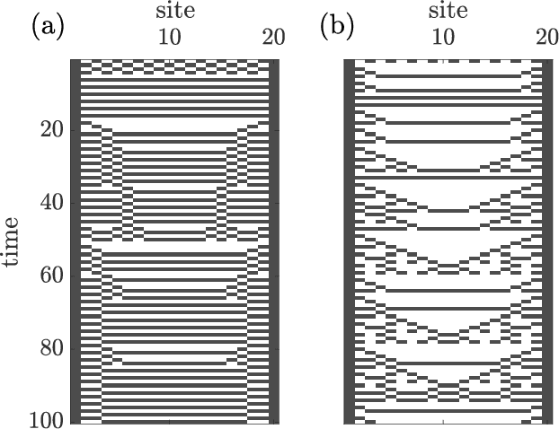 Figure 1 for Tensor-Networks-based Learning of Probabilistic Cellular Automata Dynamics