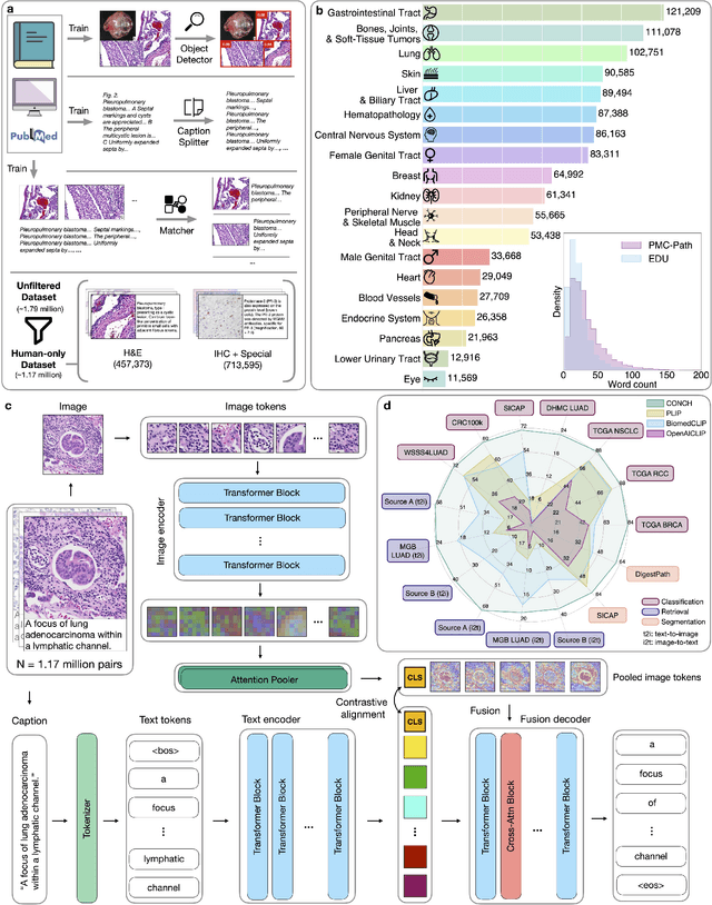 Figure 1 for Towards a Visual-Language Foundation Model for Computational Pathology