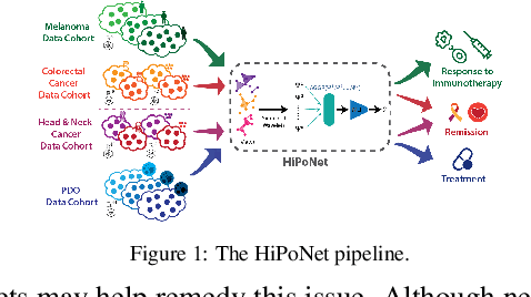 Figure 1 for HiPoNet: A Topology-Preserving Multi-View Neural Network For High Dimensional Point Cloud and Single-Cell Data