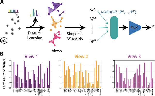Figure 3 for HiPoNet: A Topology-Preserving Multi-View Neural Network For High Dimensional Point Cloud and Single-Cell Data