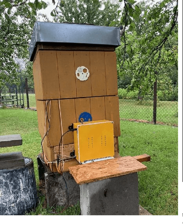 Figure 1 for Towards Varroa destructor mite detection using a narrow spectra illumination