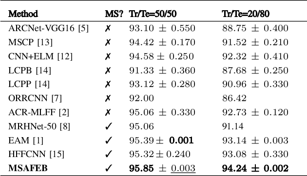 Figure 4 for A Novel Multi-scale Attention Feature Extraction Block for Aerial Remote Sensing Image Classification