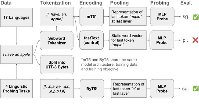 Figure 1 for Tokenization and Morphology in Multilingual Language Models: A~Comparative Analysis of mT5 and ByT5